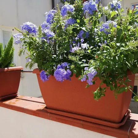 A Casa Di Nonna Σπίτι διακοπών